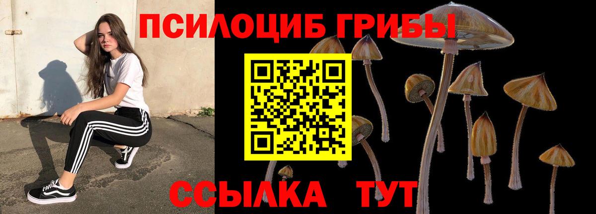 Галлюциногенные грибы прущие грибы  Вход с VPN  как найти закладки  Александров 